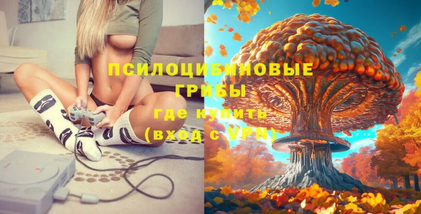 прущий лед Краснослободск