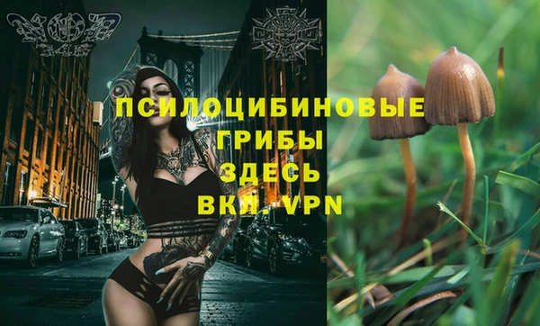 прущий лед Краснослободск