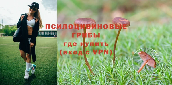 прущий лед Краснослободск