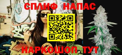 индика Заволжье
